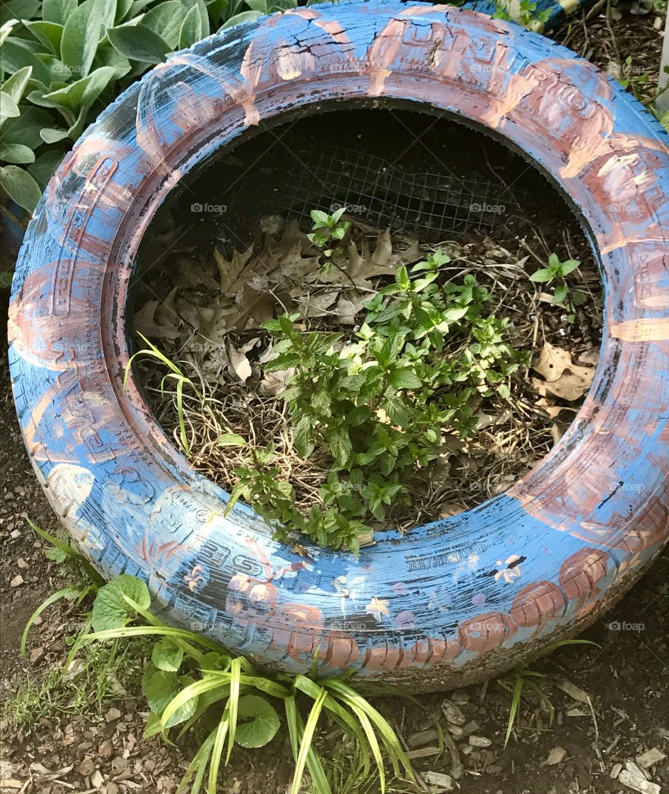 Used Tire Planter