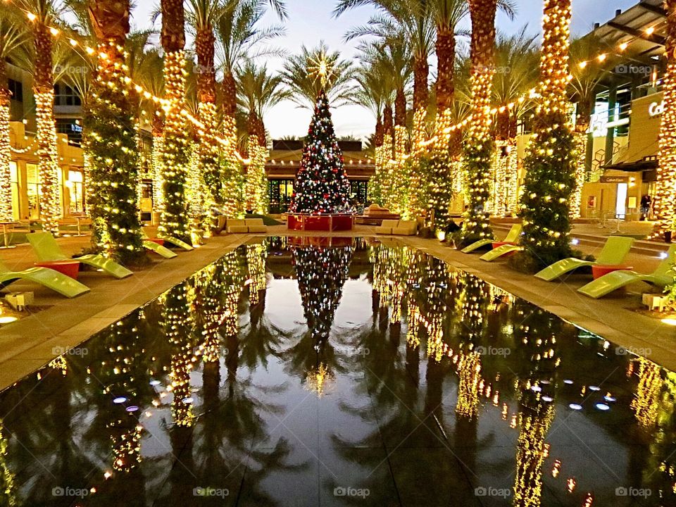 Holiday lights and Christmas tree.