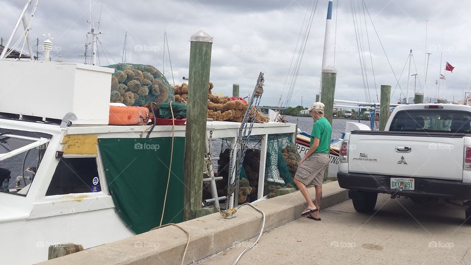 While Tarpon Springs has many tourist areas, this photo depicts the daily lives of the local spongers. Sponging is what makes Tarpon Springs special.