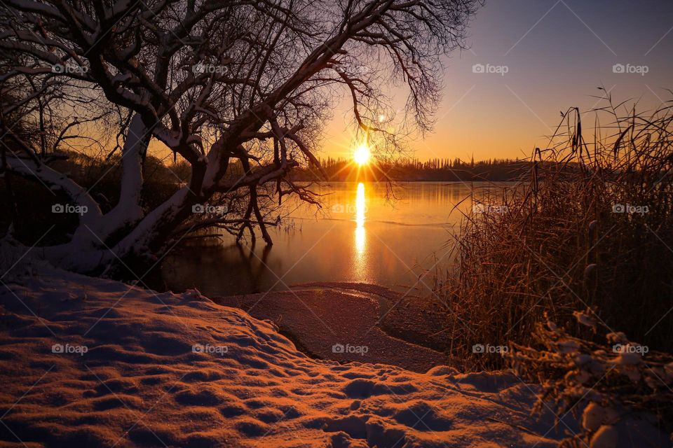Winter sunrise