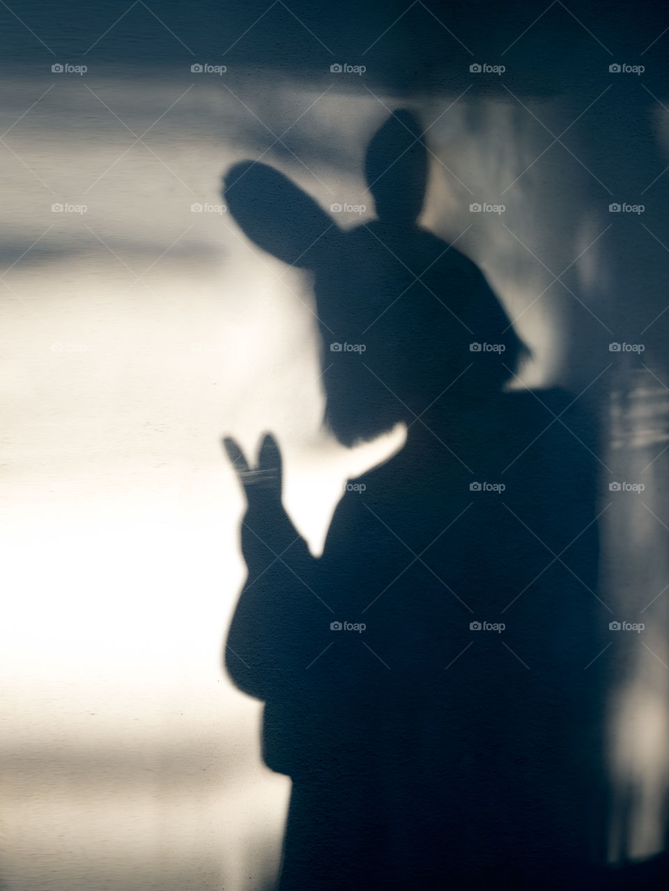 Shadow of girl in Ester bunny ears and rabbit.