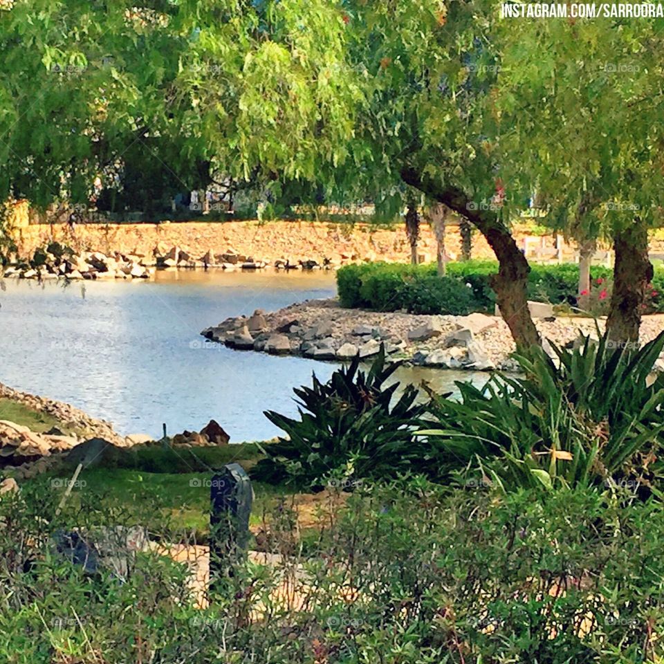 Formal garden and lake at egypt cairo