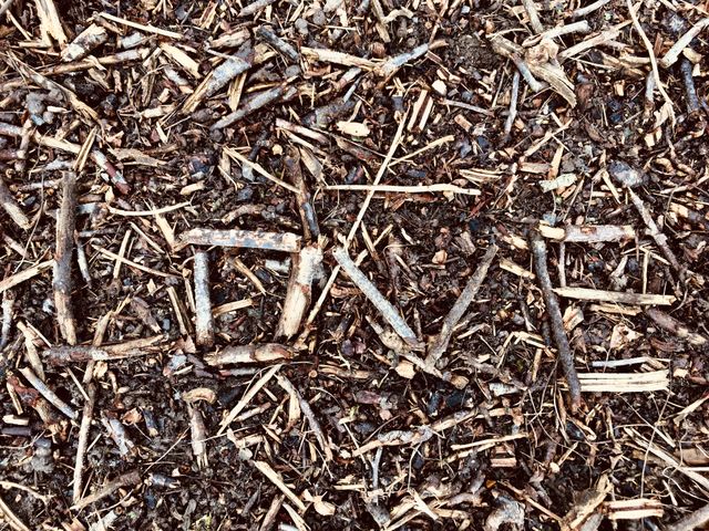 Love nature! Twigs spelling out love set amongst a natural backdrop. 