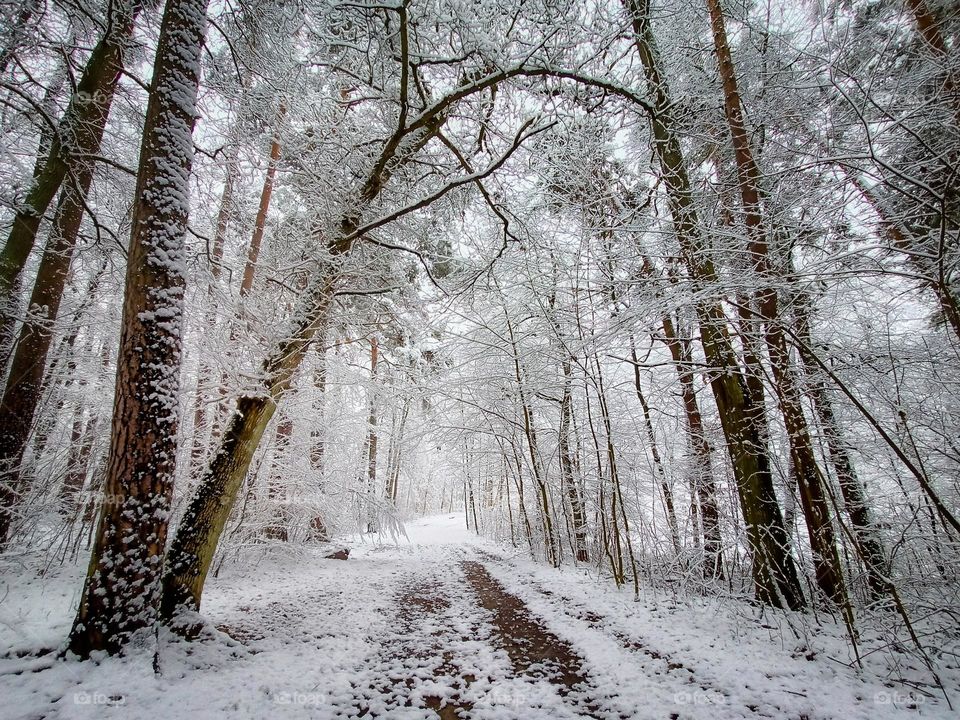 First snow