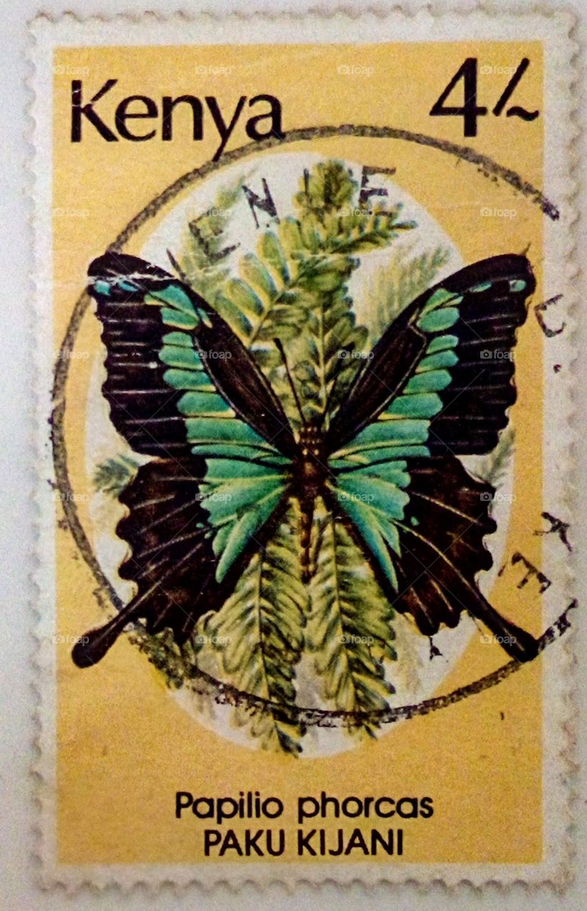Philately. Vintage stamp from old
