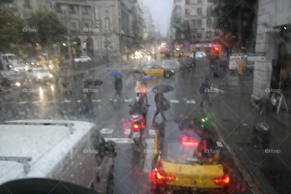 Rain in the city 