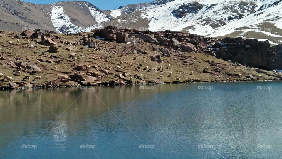 Beautiful and magic landscape at marrakech in Morocco.