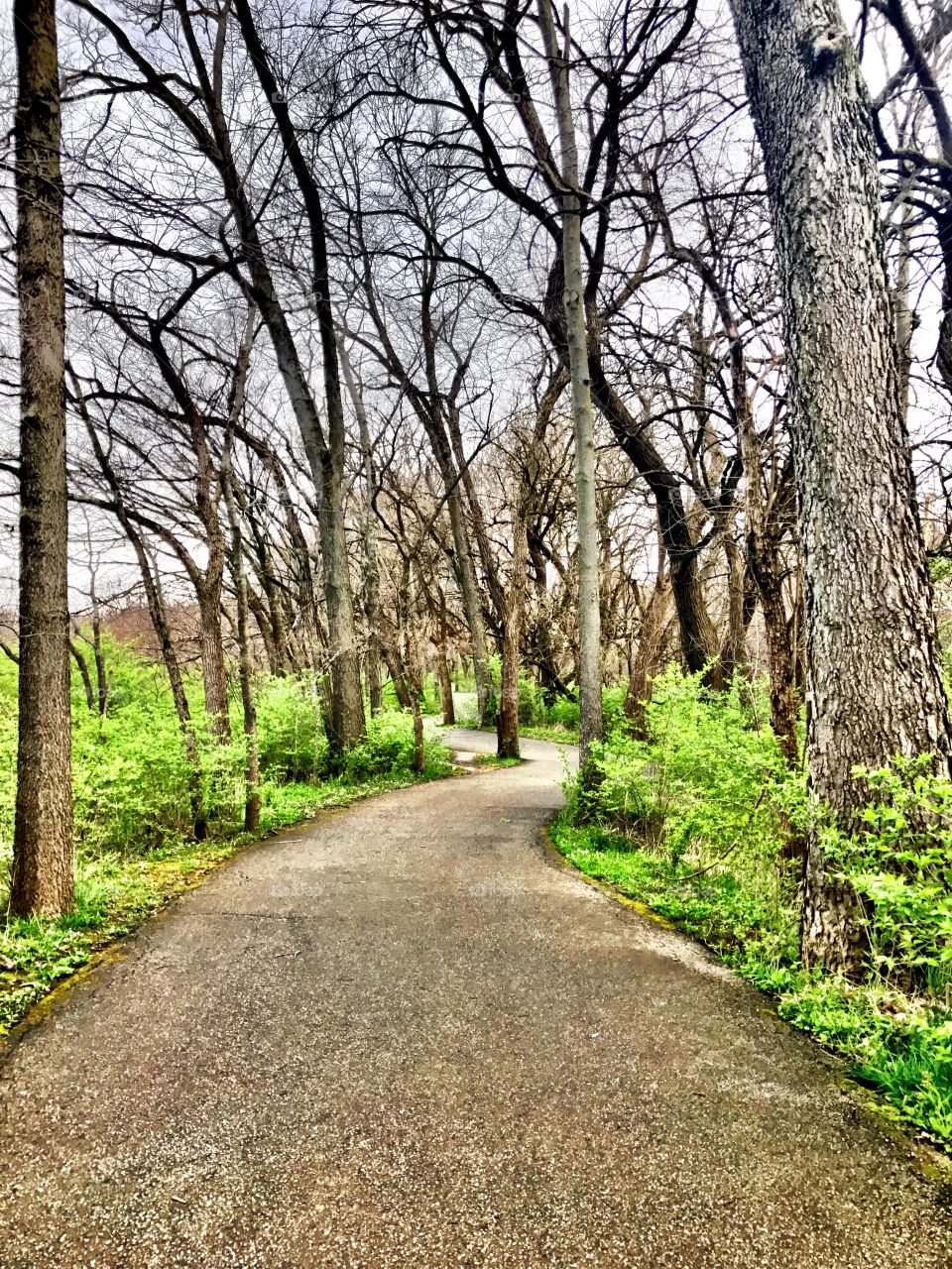 Going for a hike in the park in Indiana 