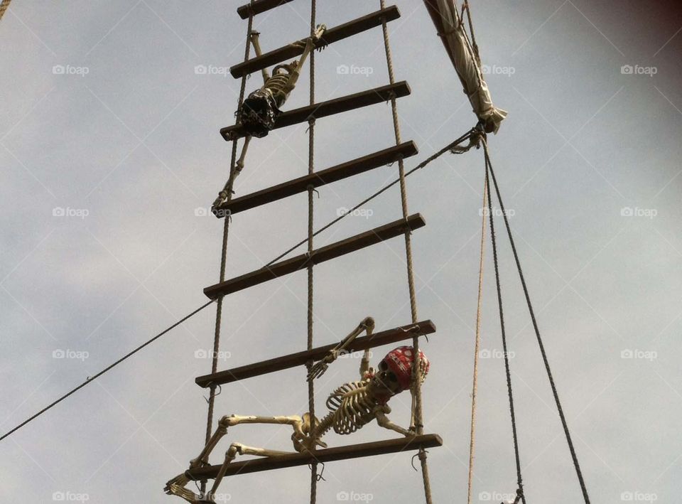 Two pirate skeletons 