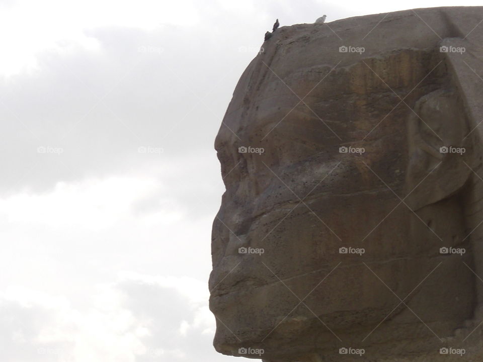 Great Sphinx of Giza Head