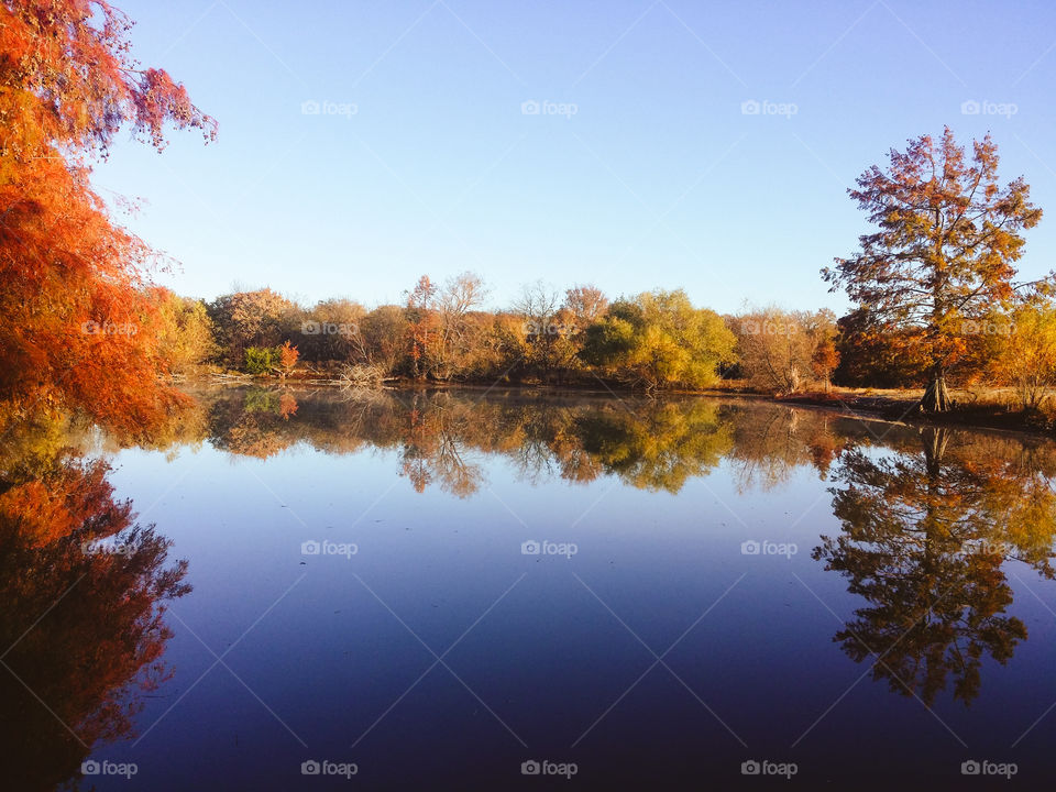 Autumn leaves on the trees reflected in a pond