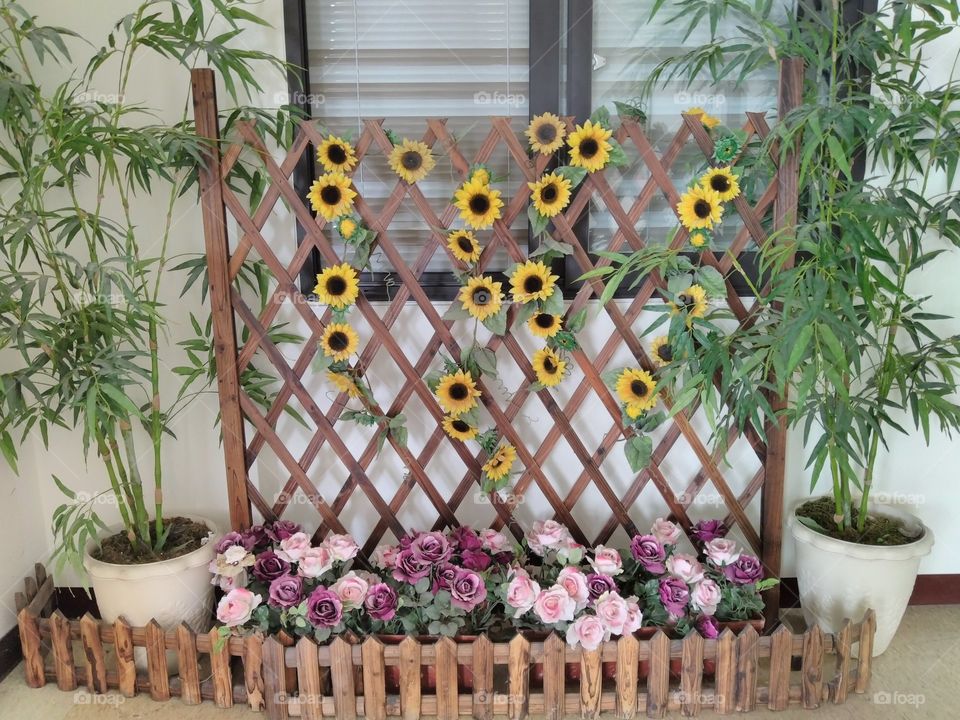 a mind creation of a flower garden😉