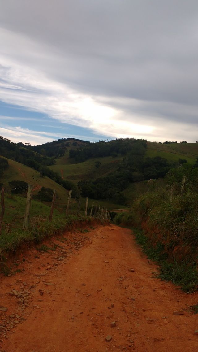 lindo