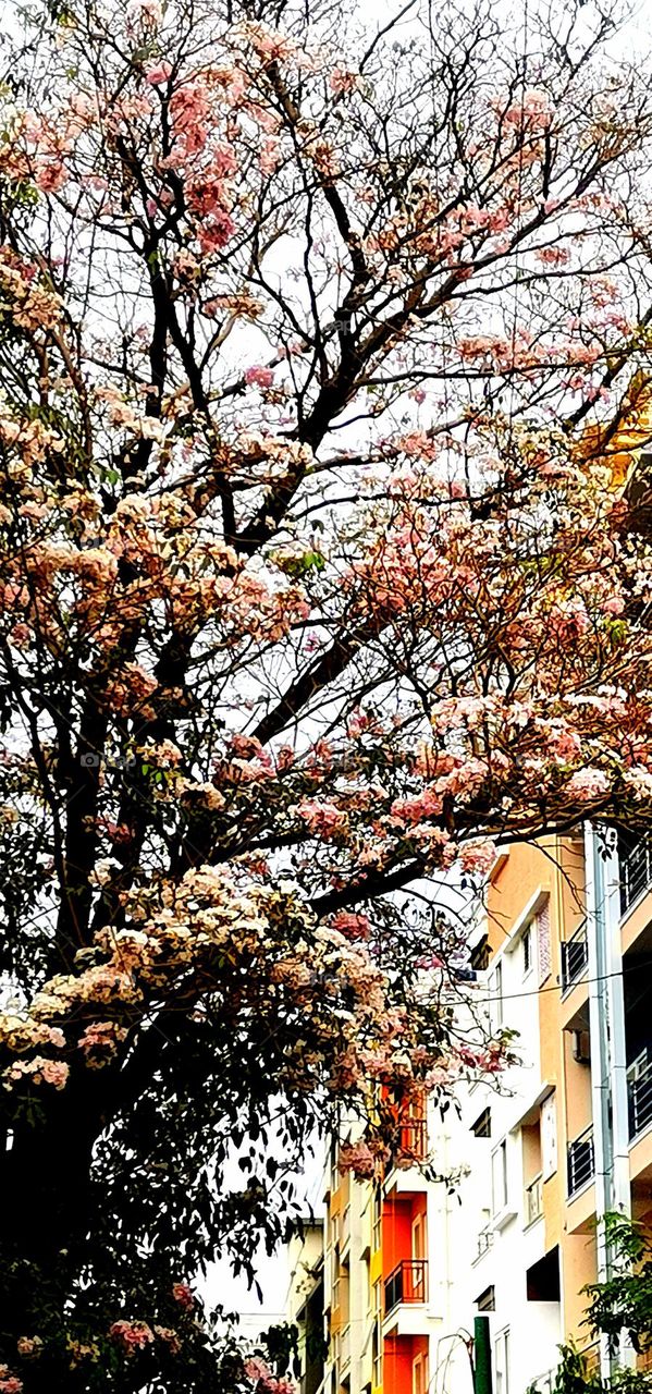 this is are all selected photos