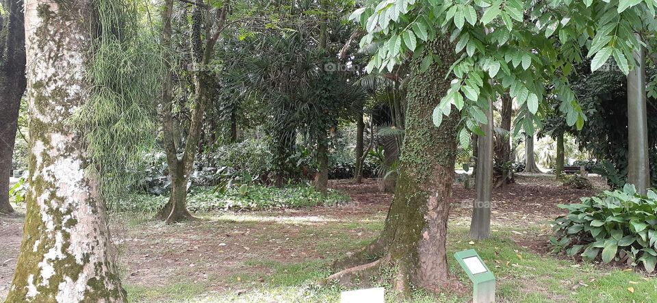 Jardim Botânico de Santos