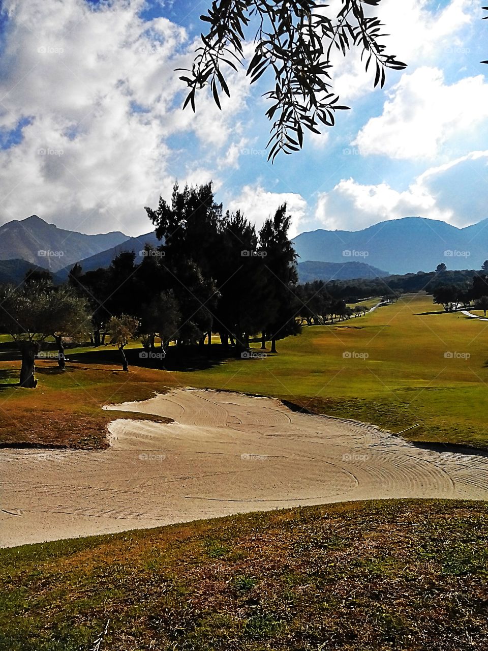 Golf field, Alhaurin del Torro