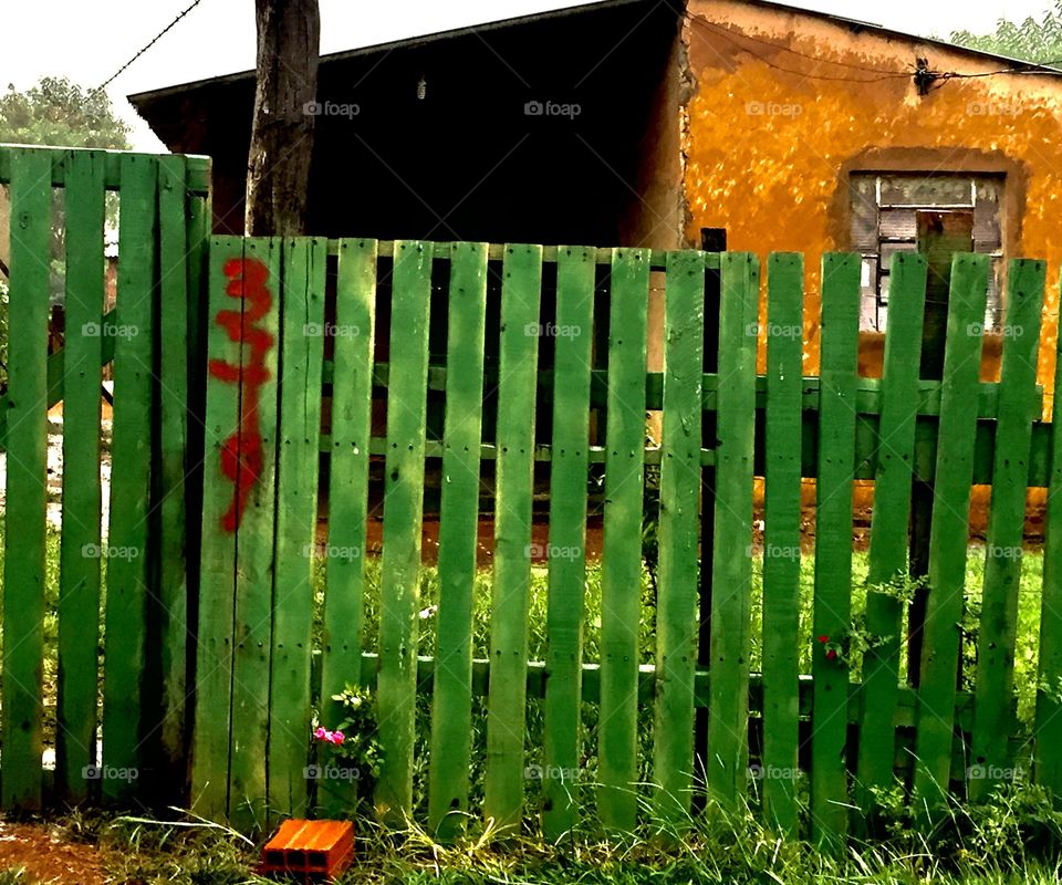 Green fence 