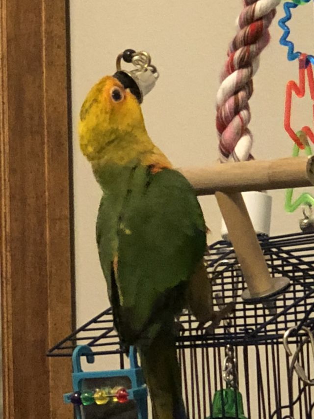 Love my Max