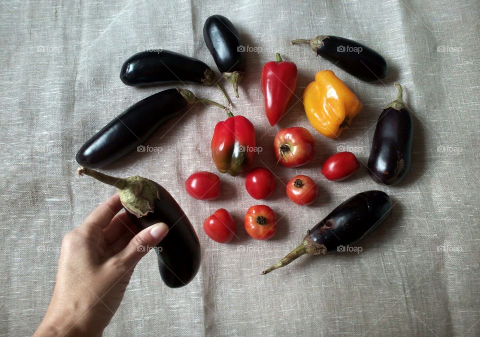 vegetables harvest