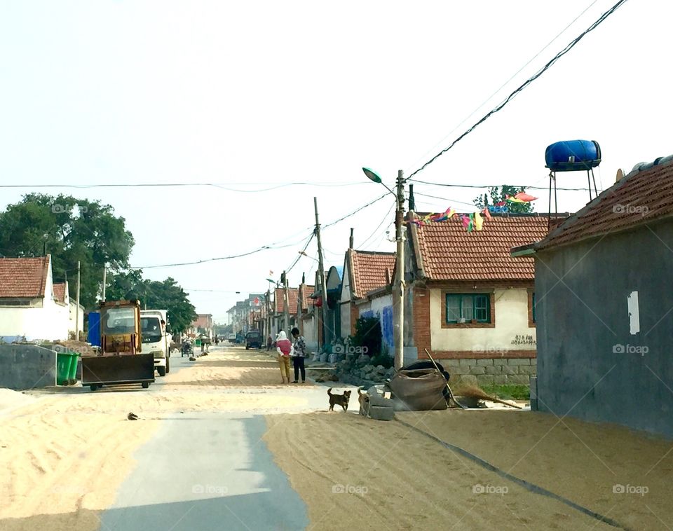 Wheats drying on the street
Life in rural countryside in northern China 