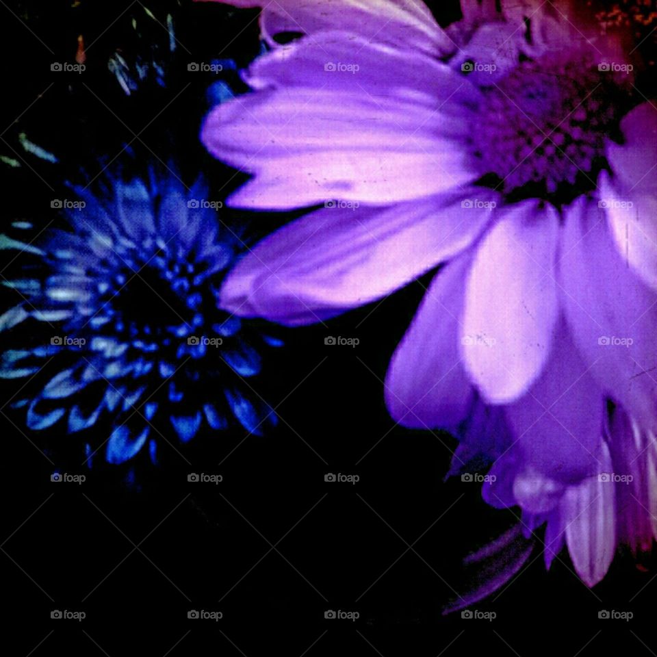 delicate. lighting effects