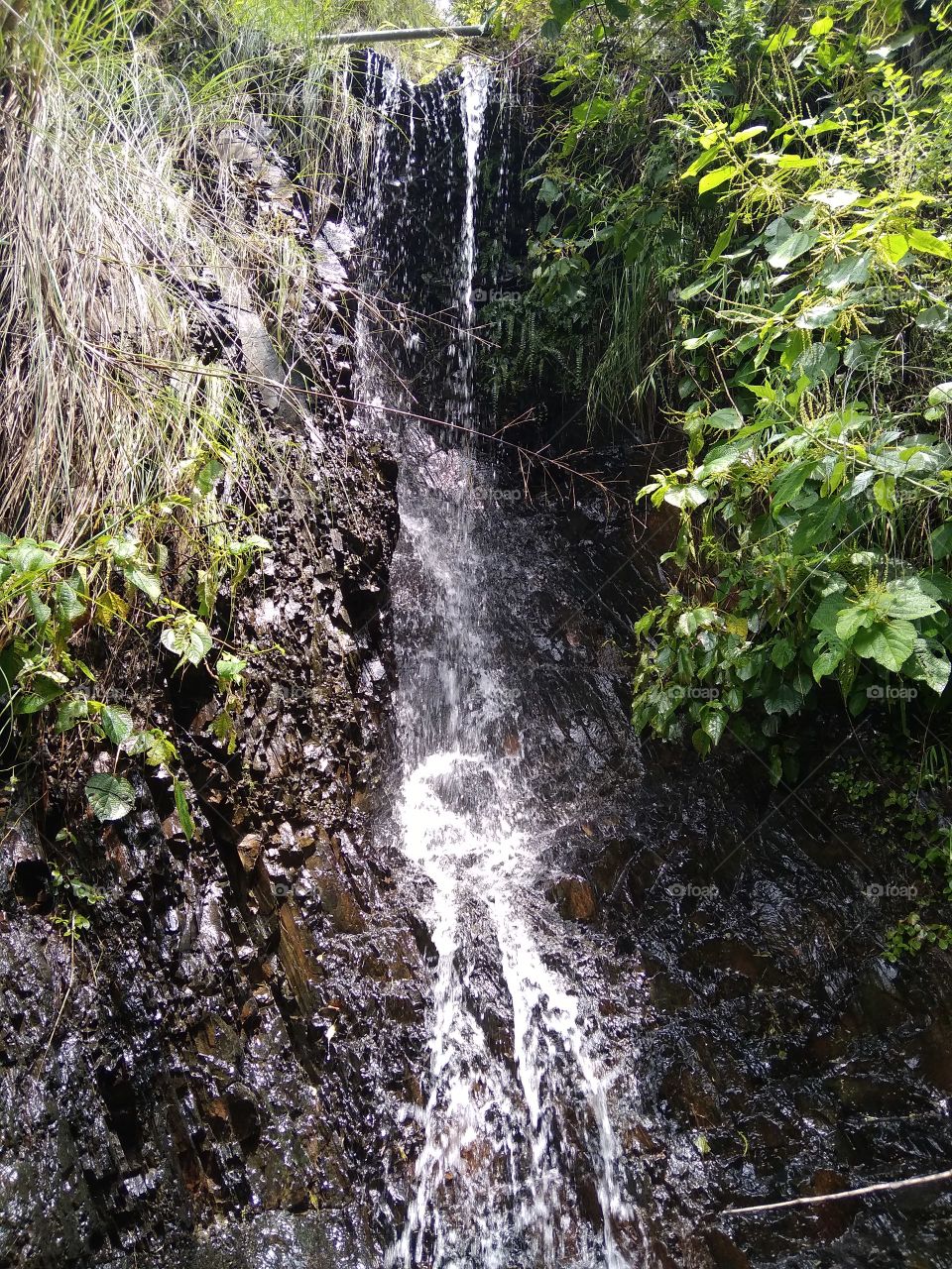 Fountain is better roal in nature