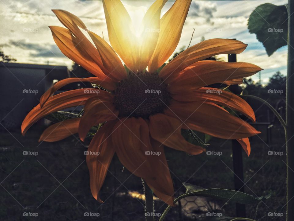 As the sun starts to set, it’s bound to kiss the Earth goodnight