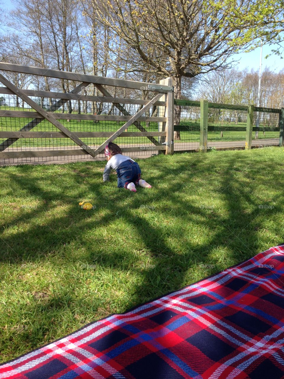 Baby crawling in the park . Baby crawling on the grass 
