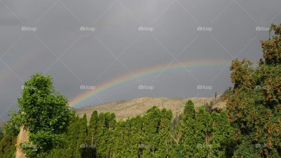 Rainbow over mountaintop