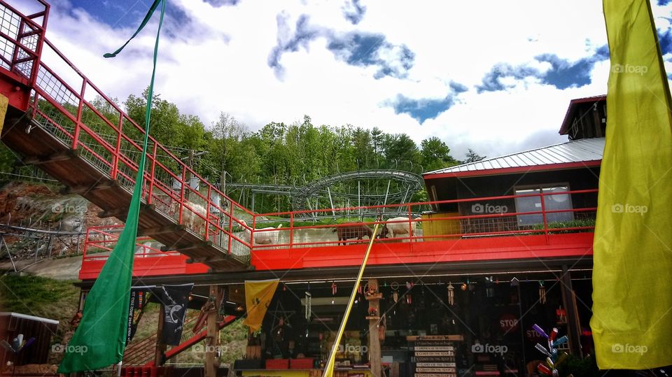 There are goats on that roof!