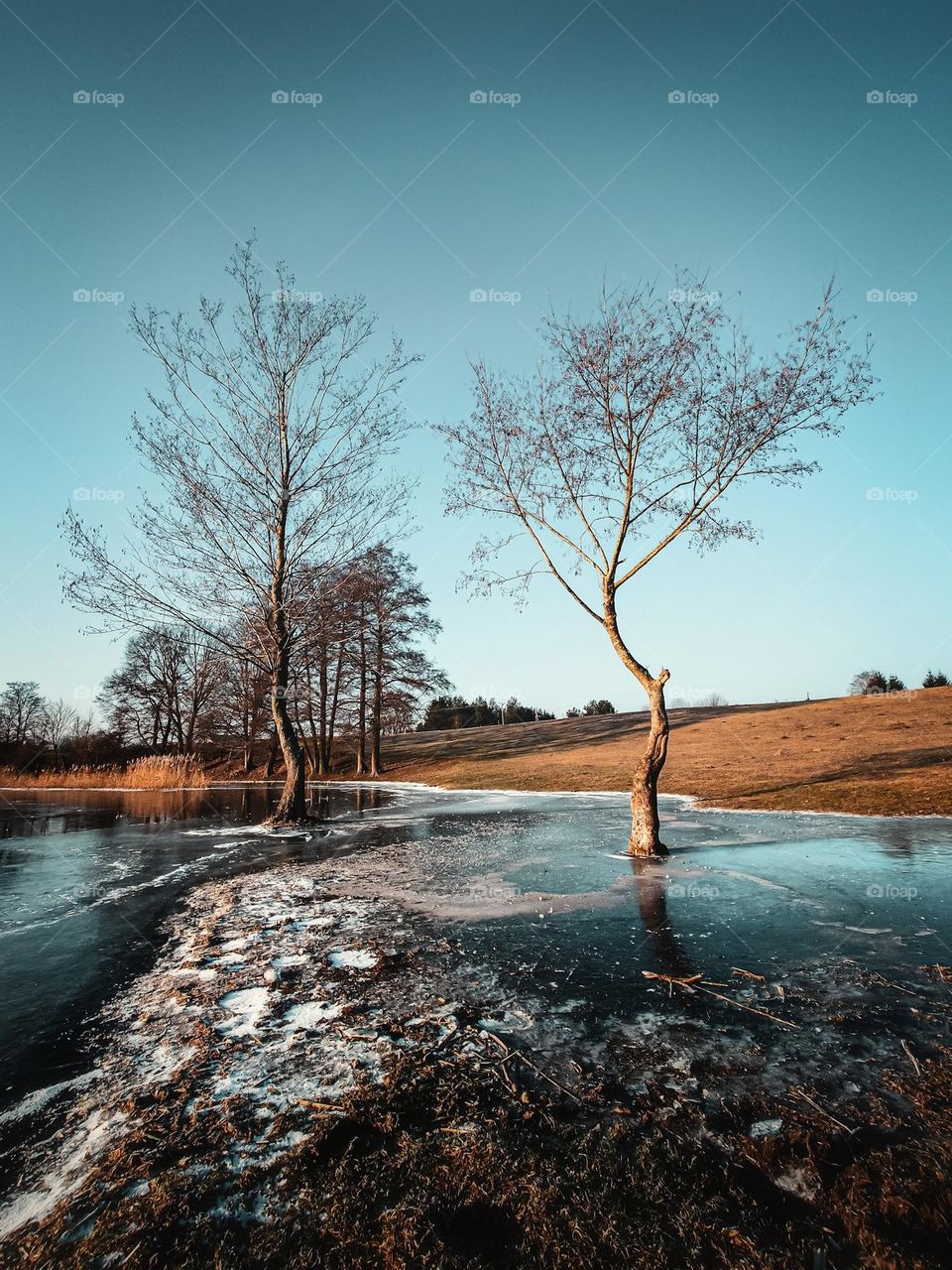 Frozen lake