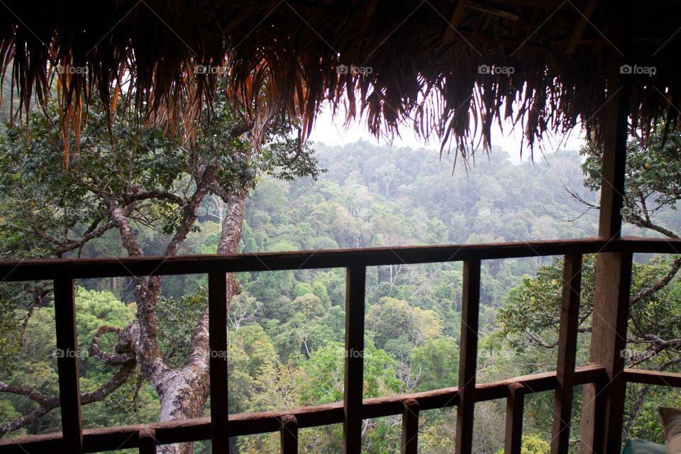 Treehouse laos 