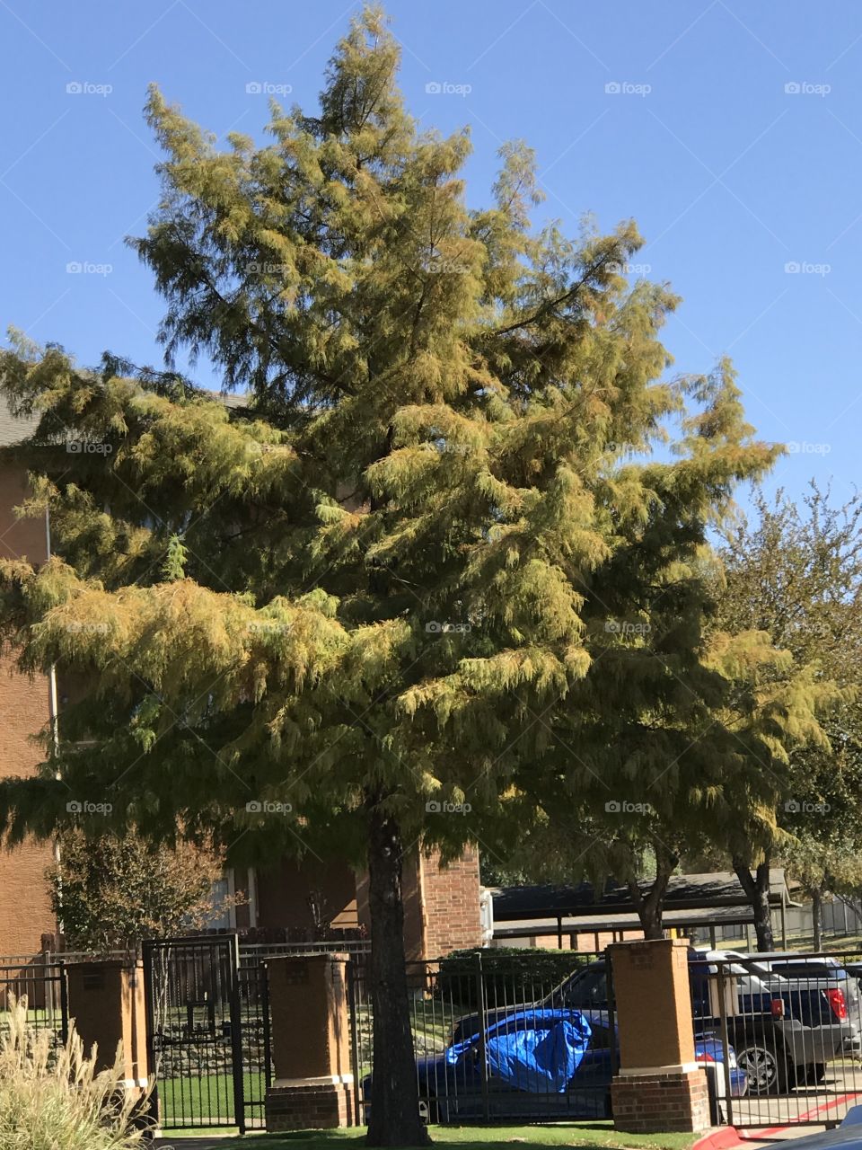 The Block Apartments