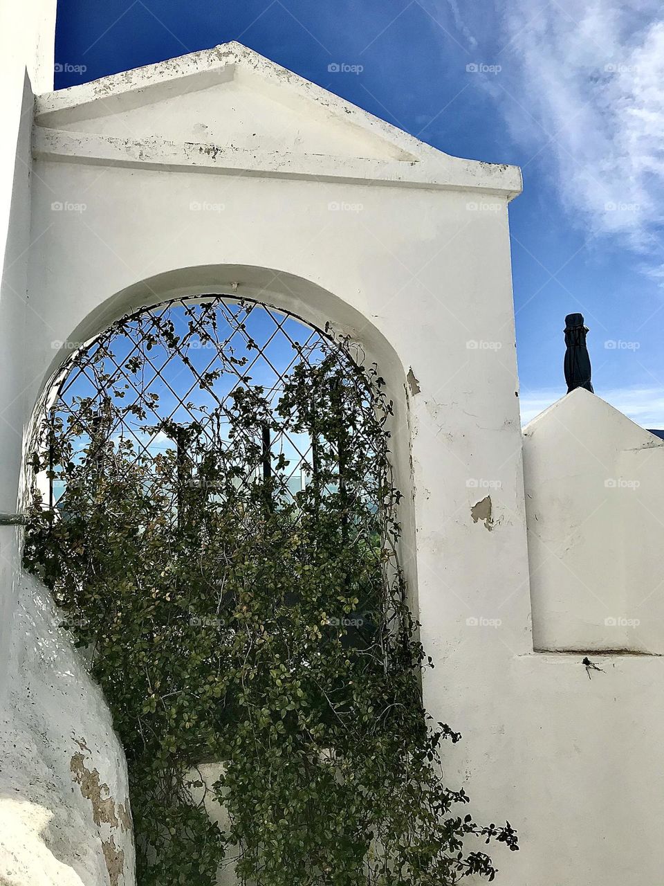 Hint of summer in Lycabettus hill