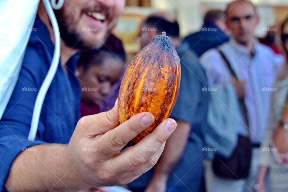 the fruit of the cacao tree