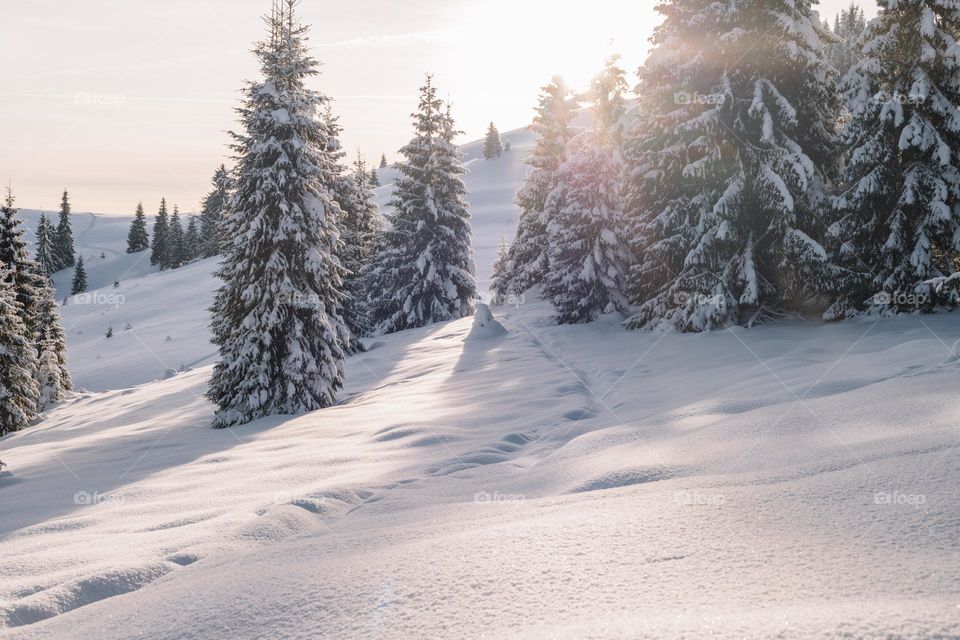 Magical winter landscape at sunset time, during a cold december day while hiking in a mountain region.