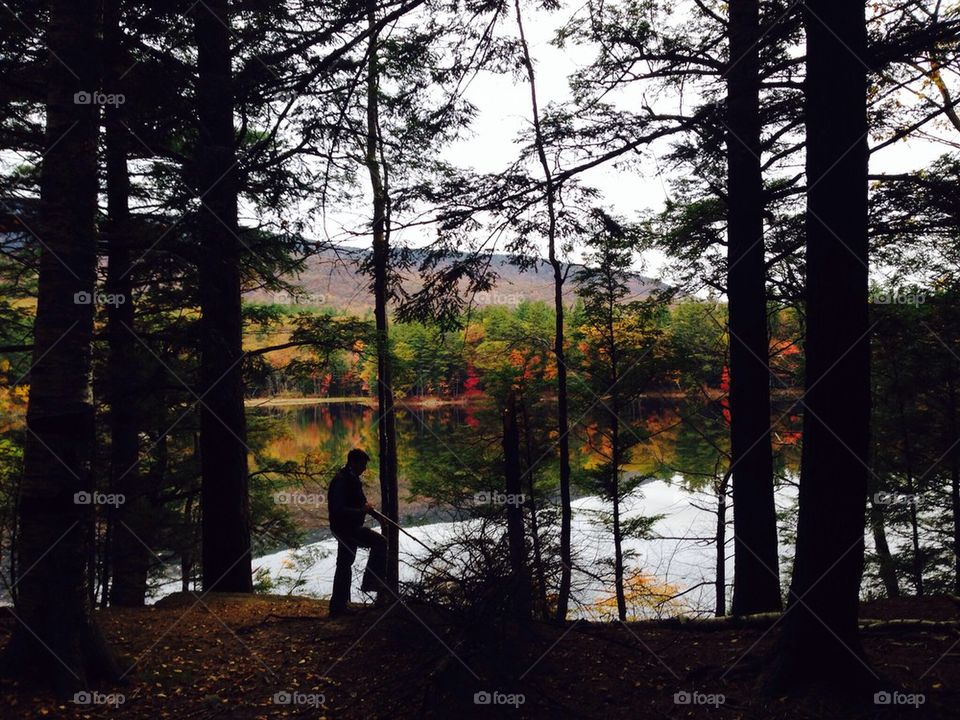 model travel mountain tree by ali.wisch