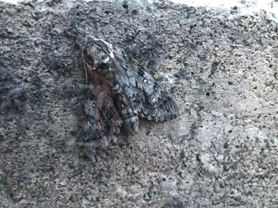 perfect imperfections