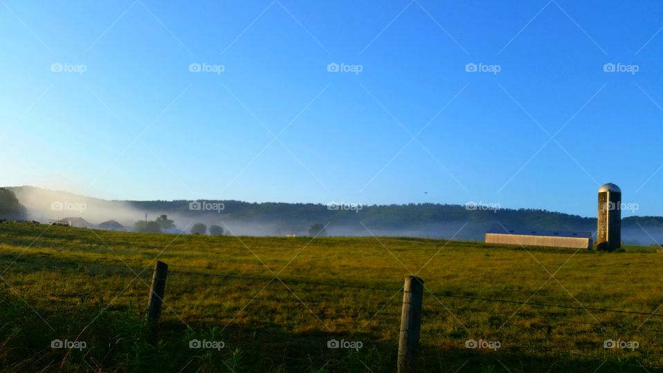 Foggy morning