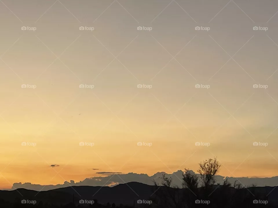 A yellow and orange sunset with tree branches and mountains.