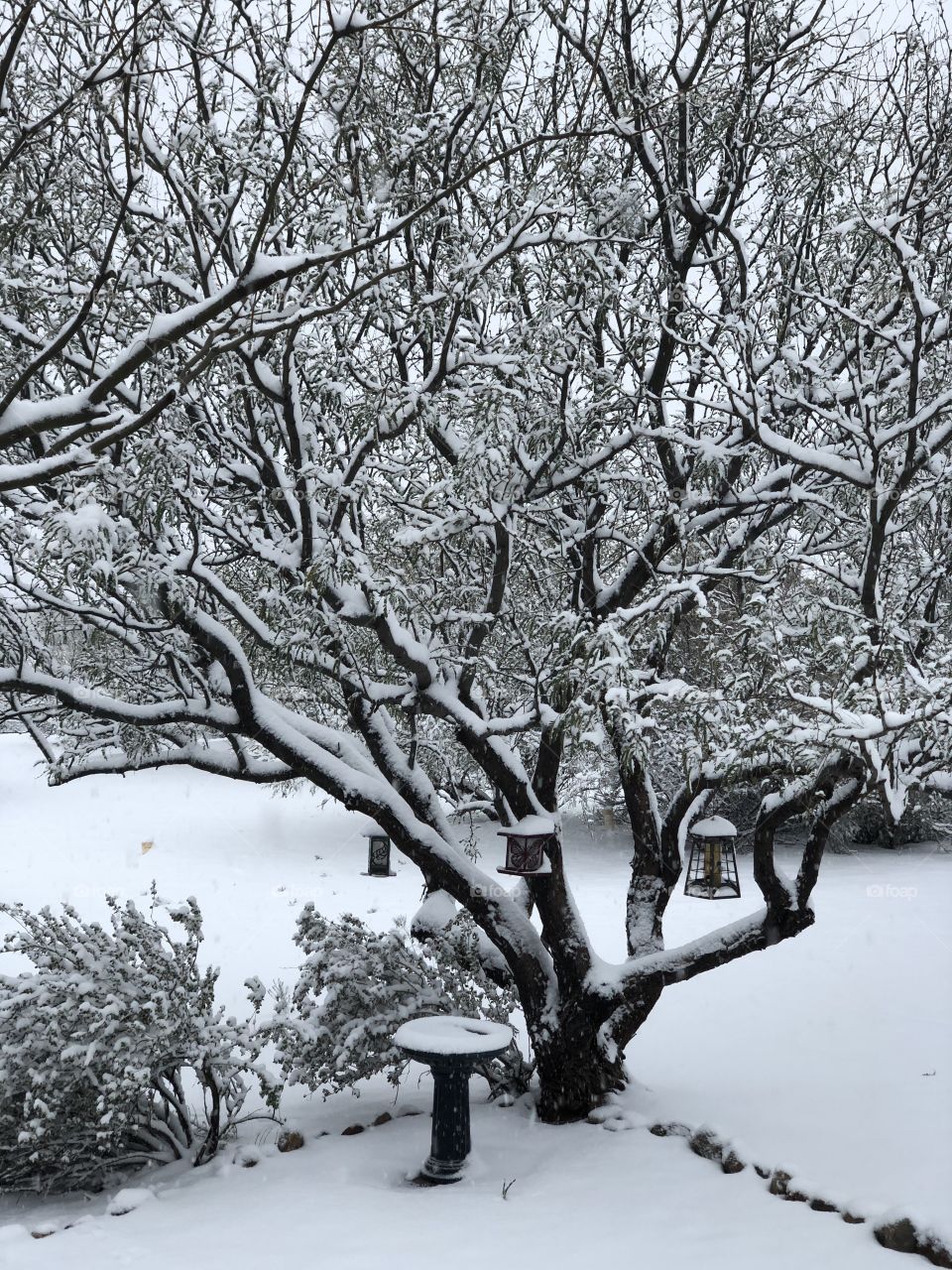 First snowstorm of the year