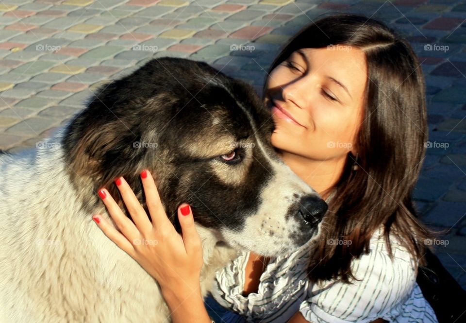 Dog, Portrait, Cute, Friendship, Young