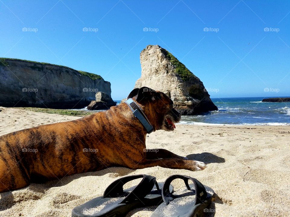 Thor at the coast!