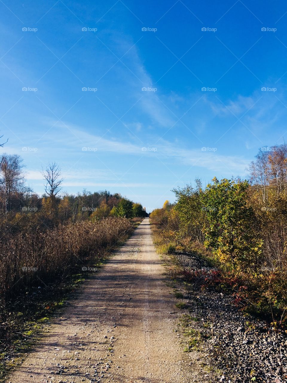 Let’s go for a long walk