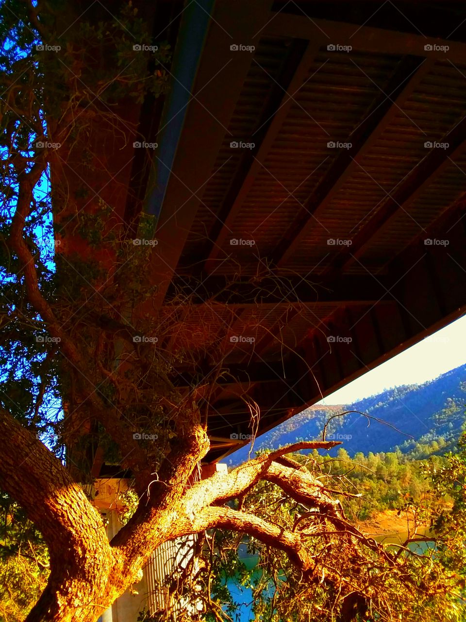 water under the bridge