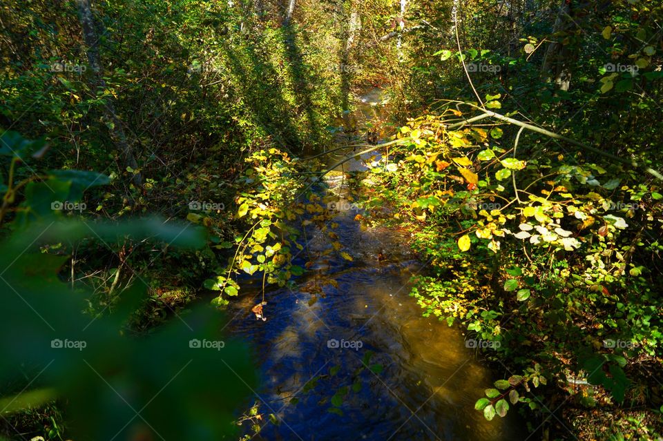 Herbstfarben