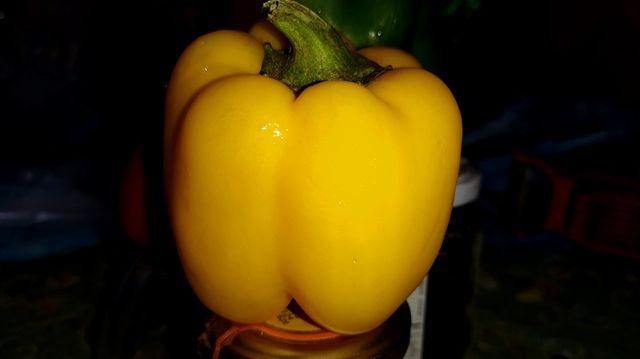 Close view of yellow bell pepper