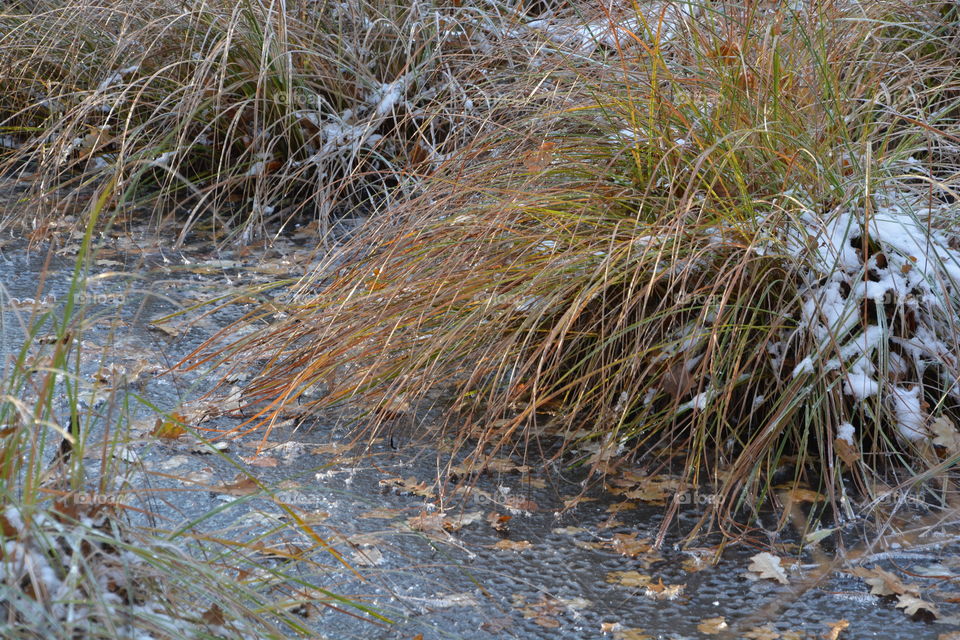Winter in Skåne, Sweden