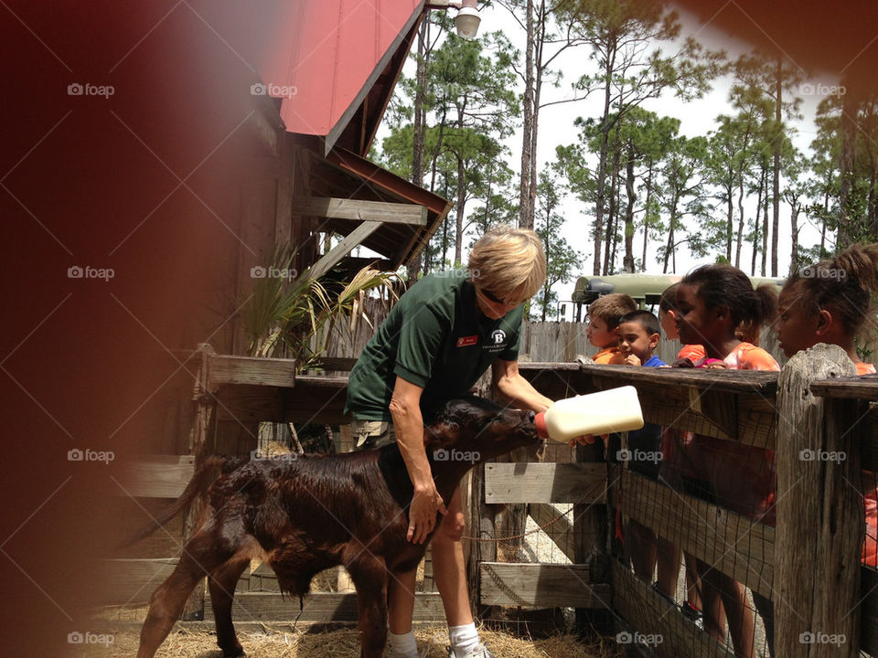 People, Adult, Group, Mammal, Woman