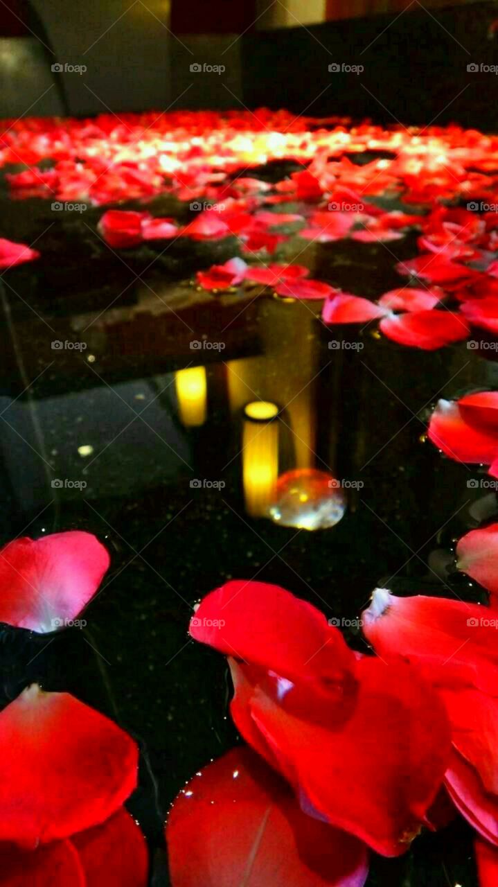 Rose petals floating for a Spa